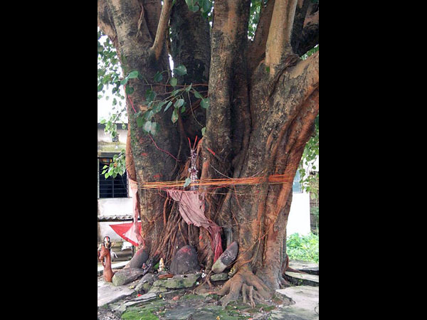 शनि अमावस्या पर करें ये खास उपाय