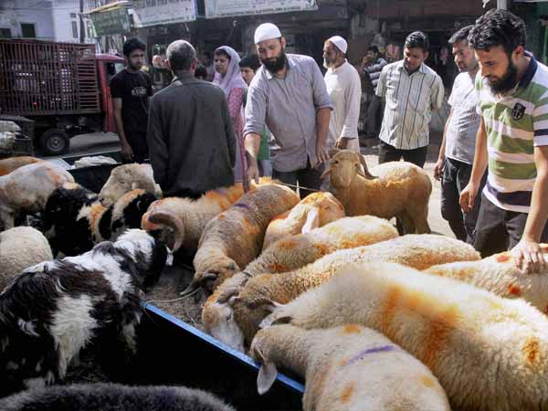 12 अगस्त- बकरीद