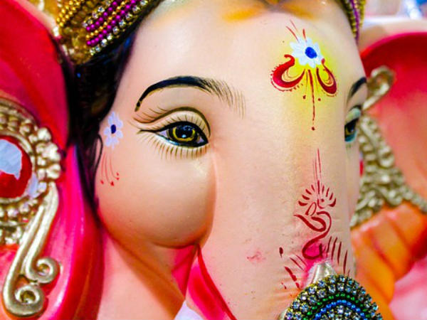 हाथी के बच्चे का लगा सिर