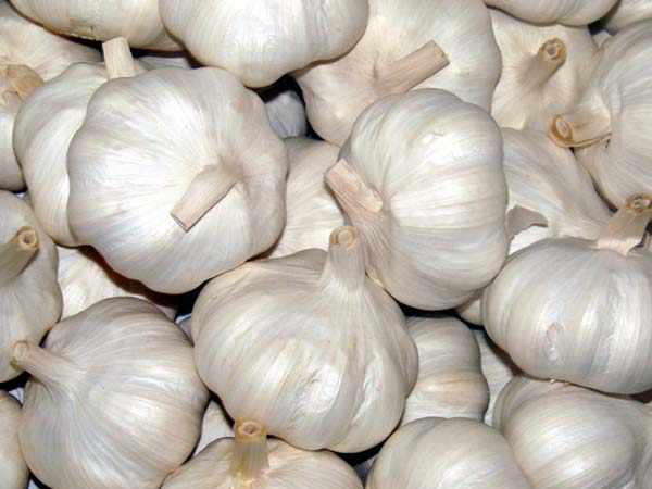 लहसुन के छिलके को भूनें