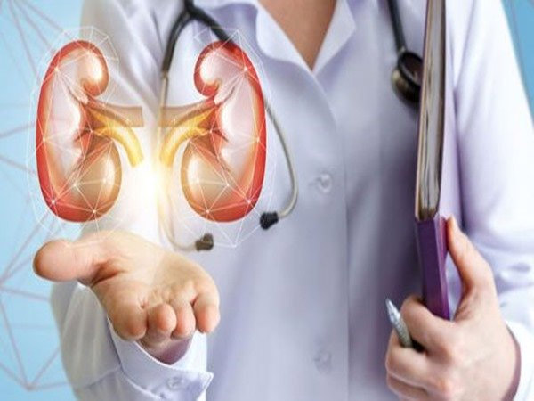 क्या काम होता है एडिसन का? क्या काम होता है एडिसन का?