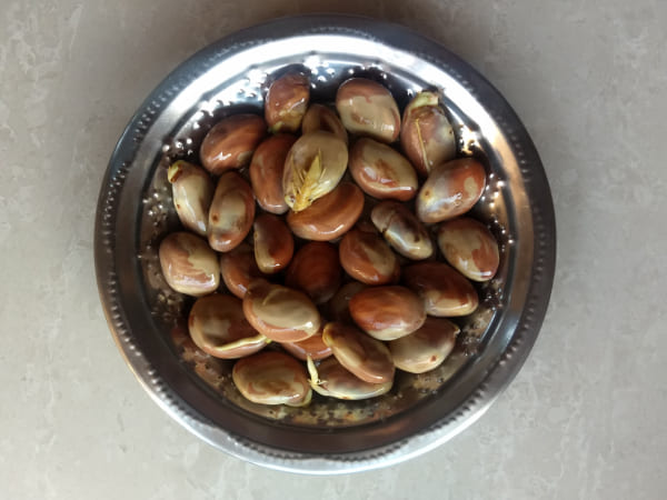 1. स्टार्च का स्रोत