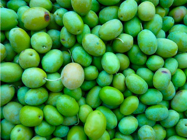 कच्चे आम को कैसे खाया जाए कच्चे आम को कैसे खाया जाए