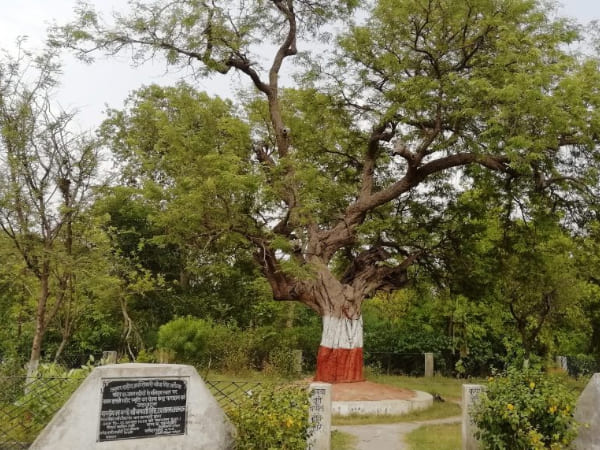 बन गए मुखबरी का शिकार बन गए मुखबरी का शिकार