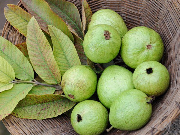 चेहरे से पिंपल्स दूर करें चेहरे से पिंपल्स दूर करें