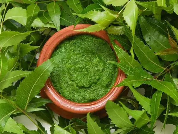 एक्ने के लिए तुलसी और नीम का फेस पैक लगाएं