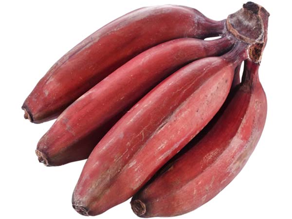 पोषक तत्वों से भरपूर पोषक तत्वों से भरपूर