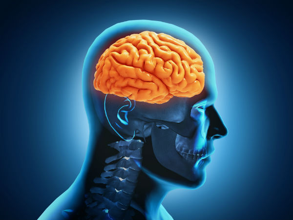 ब्रेन फंक्शन में होता है सुधार ब्रेन फंक्शन में होता है सुधार