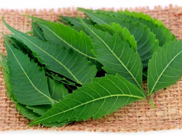 क्या खाना चाहिए चैत्र में? क्या खाना चाहिए चैत्र में?