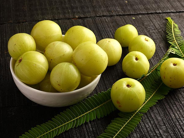 आंवला या आंवले का पाउडर आंवला या आंवले का पाउडर