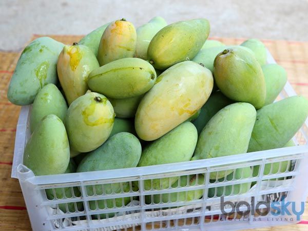 सीमित मात्रा में खाएं सीमित मात्रा में खाएं