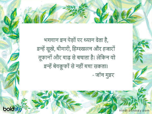 भगवान इन पेड़ों पर ध्यान देता है, इन्हें सूखे, बीमारी, हिम्स्खलन और हजारों तूफानों और बाढ़ से बचाता है। लेकिन वो इन्हें बेवकूफों से नहीं बचा सकता। भगवान इन पेड़ों पर ध्यान देता है, इन्हें सूखे, बीमारी, हिम्स्खलन और हजारों तूफानों और बाढ़ से बचाता है। लेकिन वो इन्हें बेवकूफों से नहीं बचा सकता।