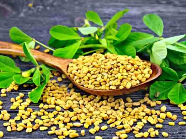 मेथी पेस्ट के फायदे मेथी पेस्ट के फायदे