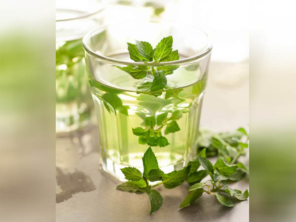 टी ट्री और पुदीना ऑयल माउथवॉश टी ट्री और पुदीना ऑयल माउथवॉश