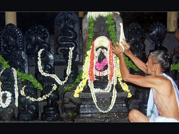 नाग पंचमी का महत्व नाग पंचमी का महत्व