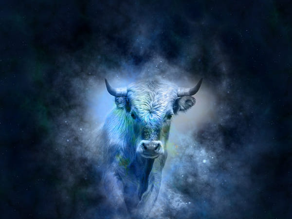 वृषभ राशि वृषभ राशि