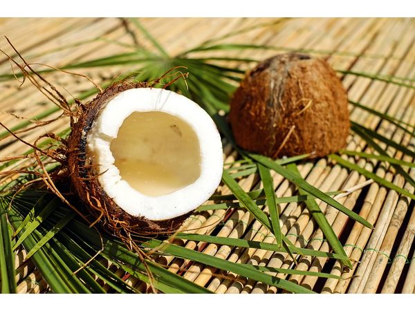नारियल का खोल नारियल का खोल