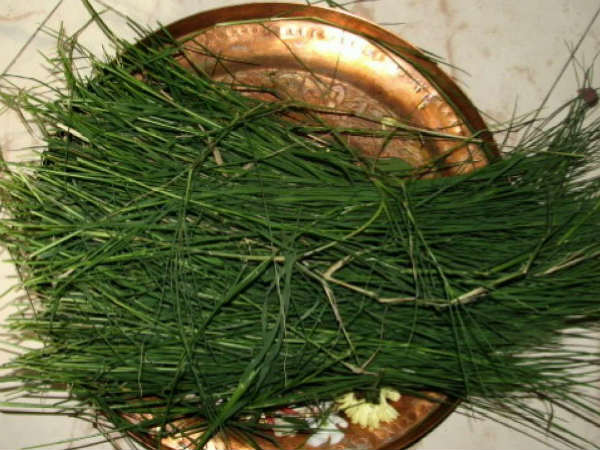 चढ़ाएं दूर्वा और गुड़ चढ़ाएं दूर्वा और गुड़