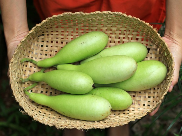 इन लक्षणों का न करें नजरअंदाज इन लक्षणों का न करें नजरअंदाज