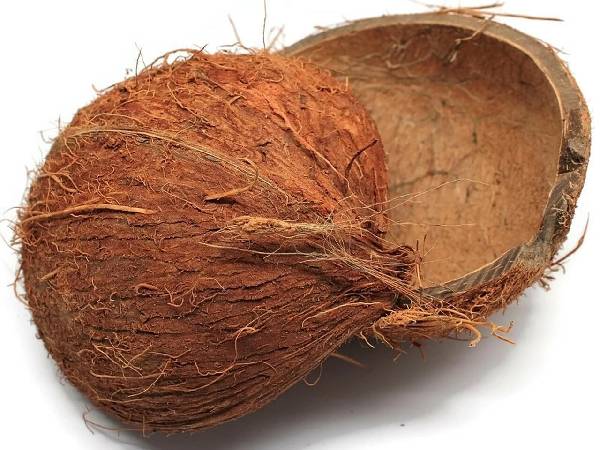 नारियल से कैसे बनाएं हेयर डाई नारियल से कैसे बनाएं हेयर डाई