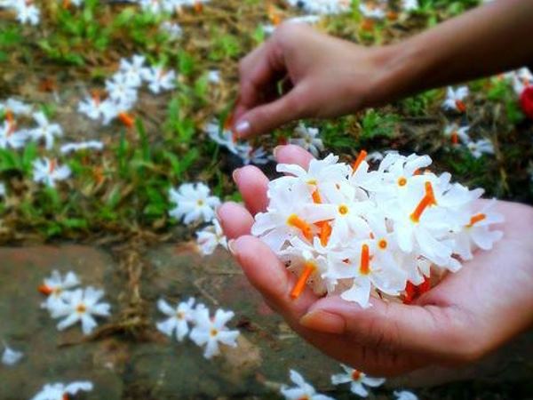 कैसे इस्तेमाल करे कैसे इस्तेमाल करे