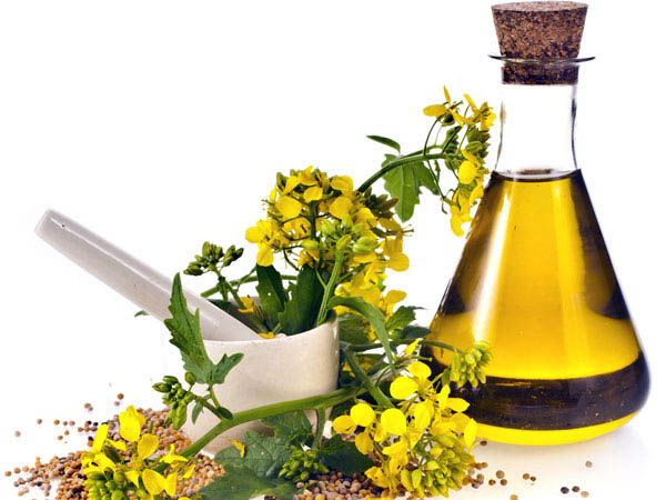 फाइन लाइन्स के लिए सरसों का तेल फाइन लाइन्स के लिए सरसों का तेल