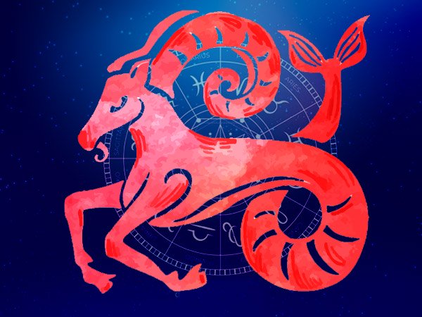 मकर (21 दिसंबर से 19 जनवरी): मकर (21 दिसंबर से 19 जनवरी):