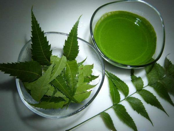 नीम के पानी का स्प्रे नीम के पानी का स्प्रे