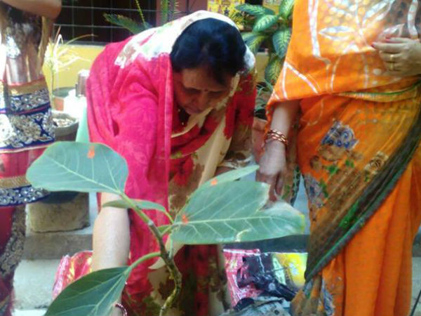 वट सावित्री व्रत का महत्व वट सावित्री व्रत का महत्व
