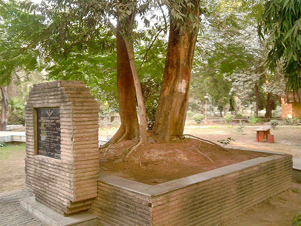 ब्रिटिश सरकार ने कटवा दिया पेड़ ब्रिटिश सरकार ने कटवा दिया पेड़