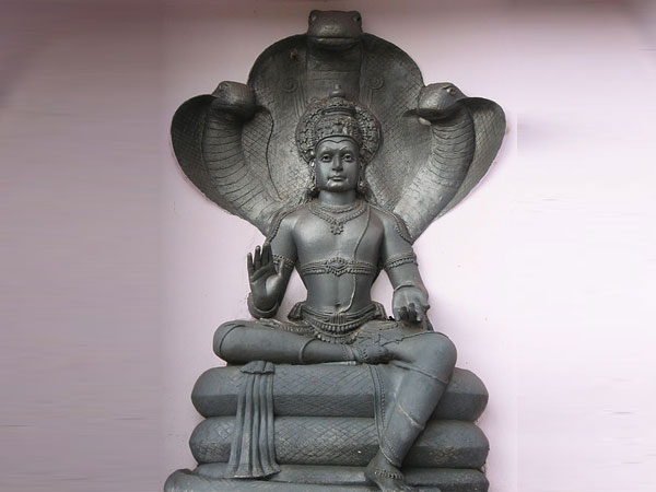 इन 12 नागों की होती है पूजा इन 12 नागों की होती है पूजा