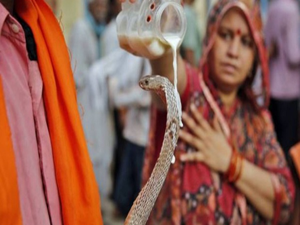 शिव जी को अत्यंत प्रिय है नाग देवता शिव जी को अत्यंत प्रिय है नाग देवता