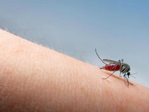 कमरे के तापमान का रखें ख्याल कमरे के तापमान का रखें ख्याल