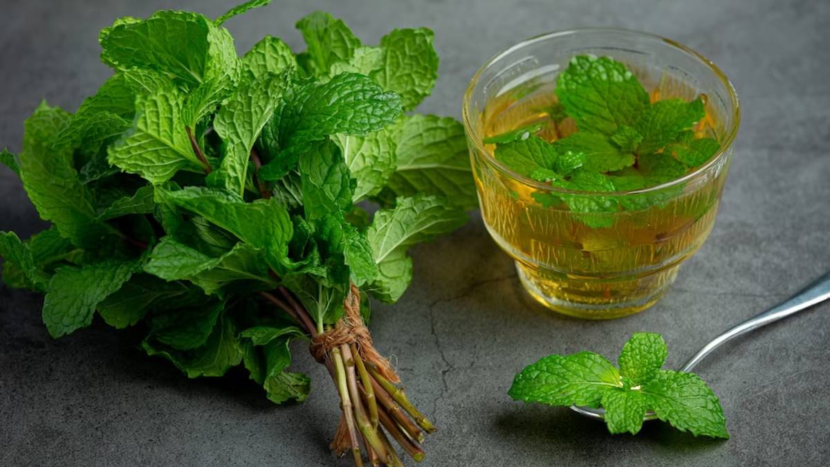 Peppermint Tea Side Effects पुदीने की चाय पीने से सेहत पर पड़ सकता है