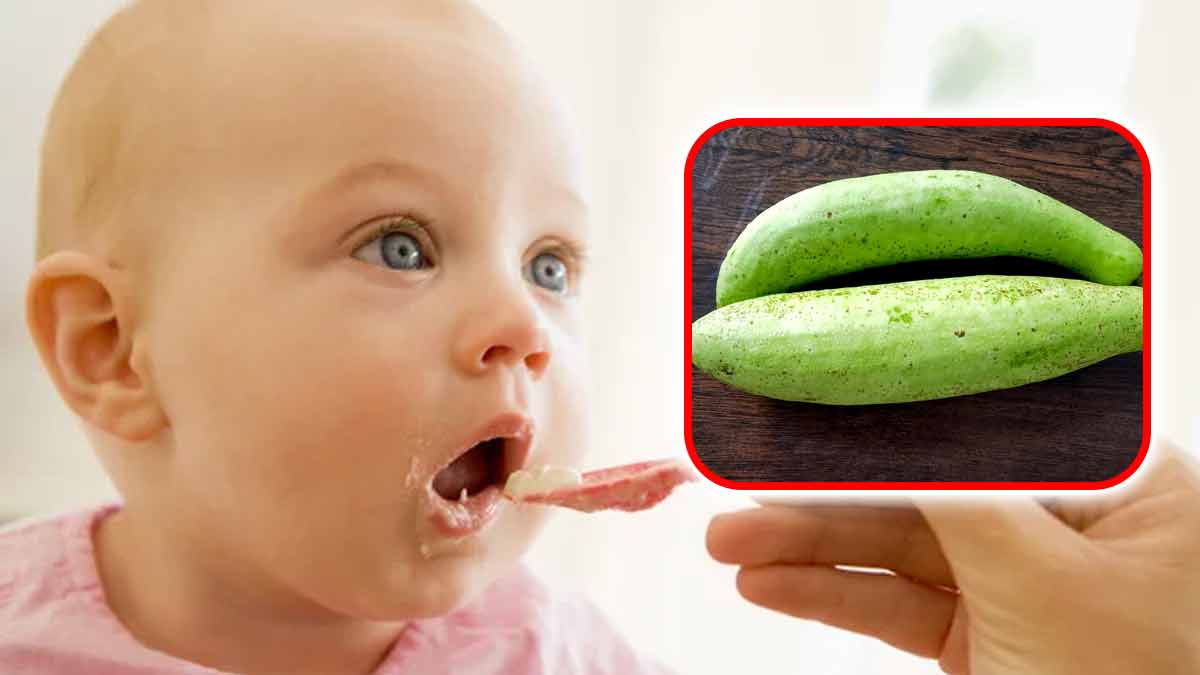 पहली बार बेबी को खिला रही हैं लौकी, तो ये रेसिपीज जरुर ट्राय करें, जानें फायदे और सावधान‍ियां