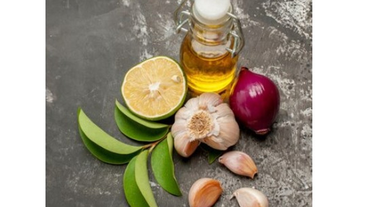 Hair Care Tips स्कैल्प पर लगाएं लहसुन और प्याज का तेल, मखमल जैसे हो