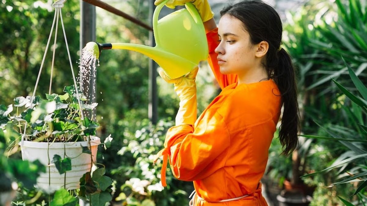 गर्म हवाओं से झुलस गए पौधे, जानें 45 डिग्री टेम्‍परेचर में भी कैसे रखे