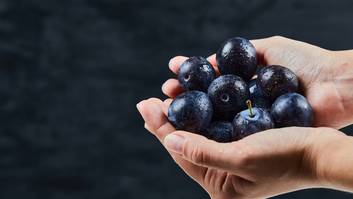 जामुन आपकी सेहत पर डाल सकता है गलत असर, जानिए किन लोगों को खाने से करना