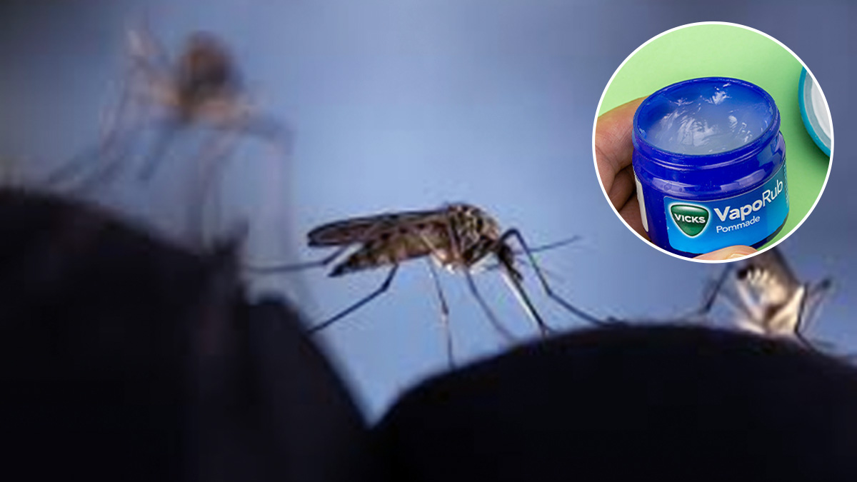मच्छरों ने काटकाटकर कर द‍िया बुरा हाल, Vicks में इस एक चीज को म‍िलाकर