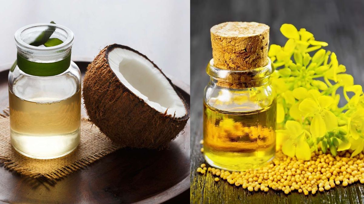 Coconut Oil Vs Mustard Oil घने बालों के ल‍िए दोनों में से कौनसा तेल है