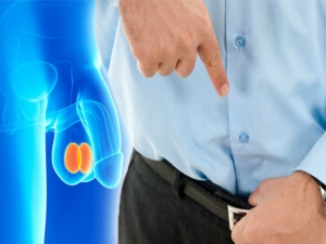 What Is Penile Cancer Symptoms Signs What Is Penile Cancer Symptoms Signs