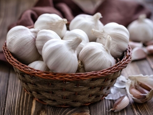 How To Buy And Select Fresh Garlic How To Buy And Select Fresh Garlic